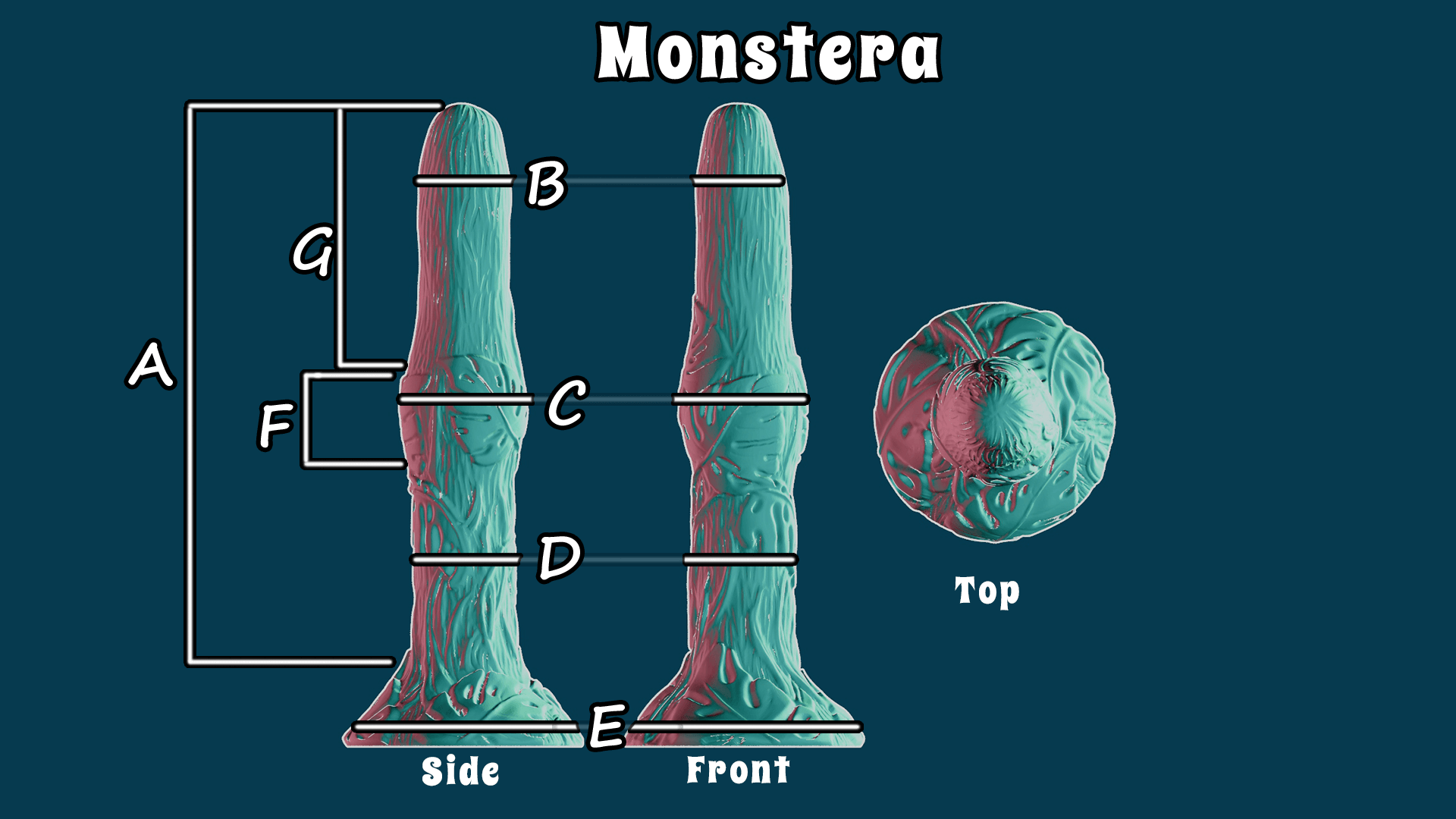 Monstera
