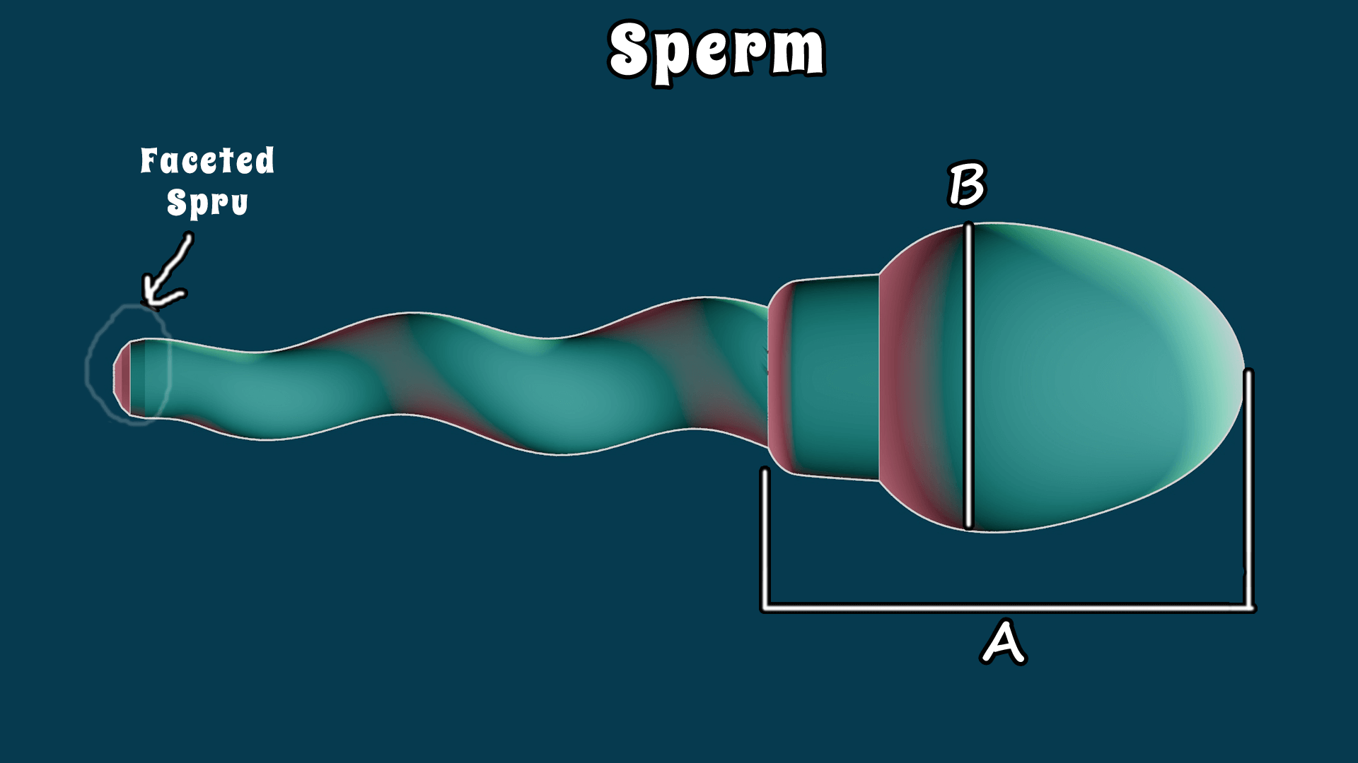Sperm